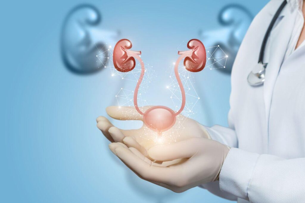 Infecção urinária: por que acontece e quais os melhores tratamentos