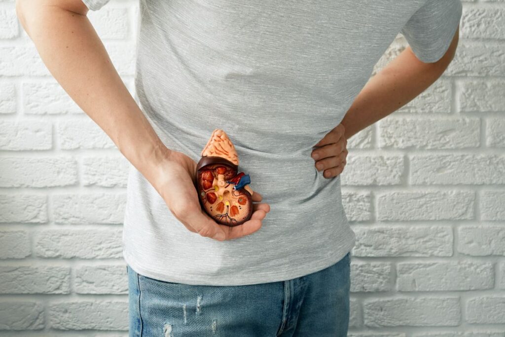 Cólica renal: entenda os sintomas e como aliviar a dor